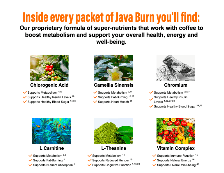 Java Burn Ingredients 